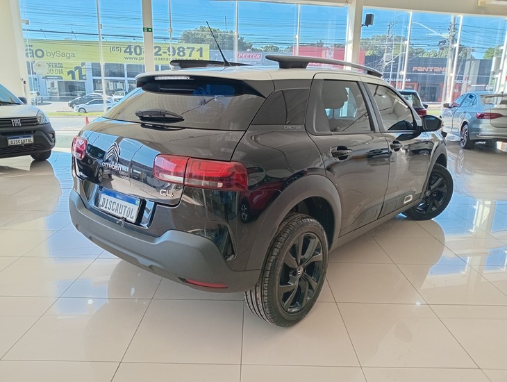 galeria C4 Cactus
