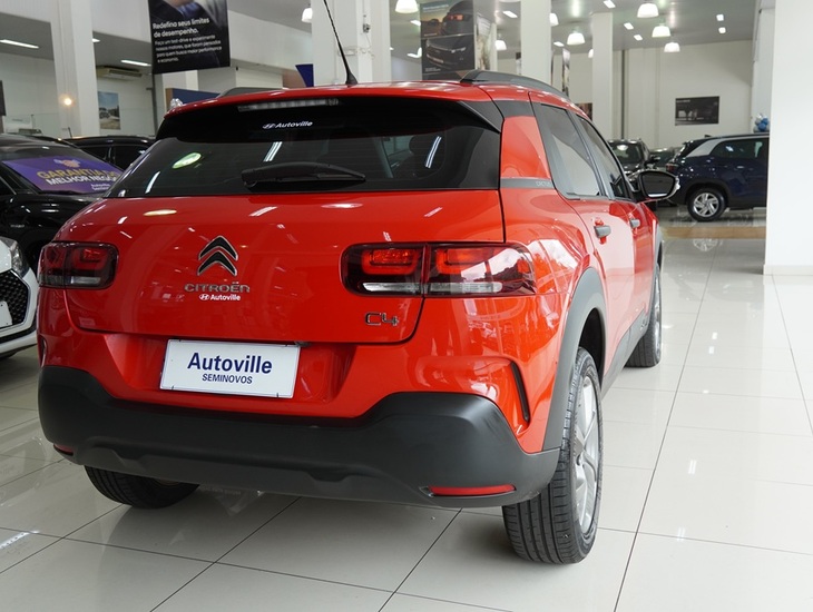 galeria C4 CACTUS