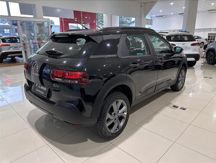galeria C4 CACTUS