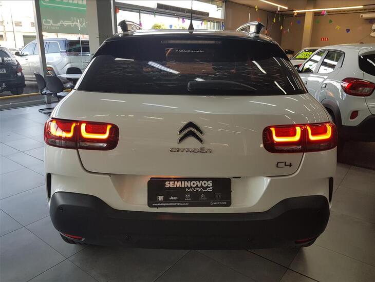 galeria C4 CACTUS
