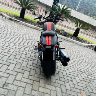 Harley Davidson V Rod Custom Night Rod Special