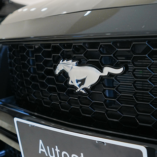 Ford Mustang GT Performance