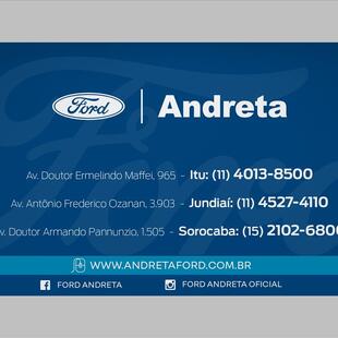 Ford TRANSIT 2.0 ECOBLUE DIESEL MINIBUS 14+1 410L AUTOMÁTICO