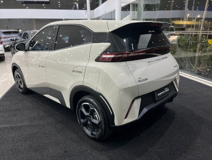 galeria DOLPHIN MINI