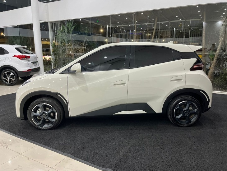 galeria DOLPHIN MINI