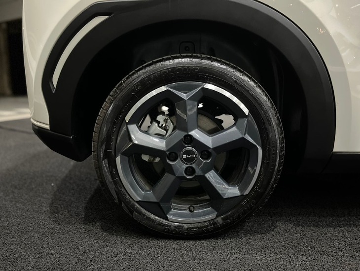 galeria DOLPHIN MINI