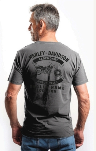 galeria CAMISETA MASCULINA NACIONAL HEAVY 2.0 CLASSIC WG SKULL FLAMES