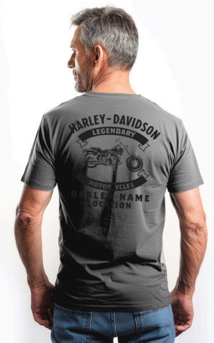 galeria CAMISETA MASCULINA NACIONAL HEAVY 2.0 CLASSIC LIGHTNING BADGE