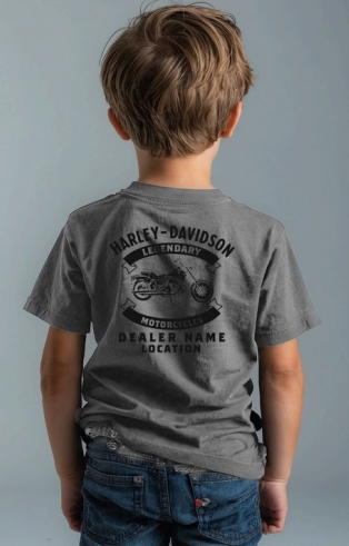 galeria CAMISETA INFANTIL NACIONAL HEAVY 2.0 LIGHTNING BADGE