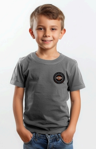 galeria CAMISETA INFANTIL NACIONAL HEAVY 2.0 LIGHTNING BADGE