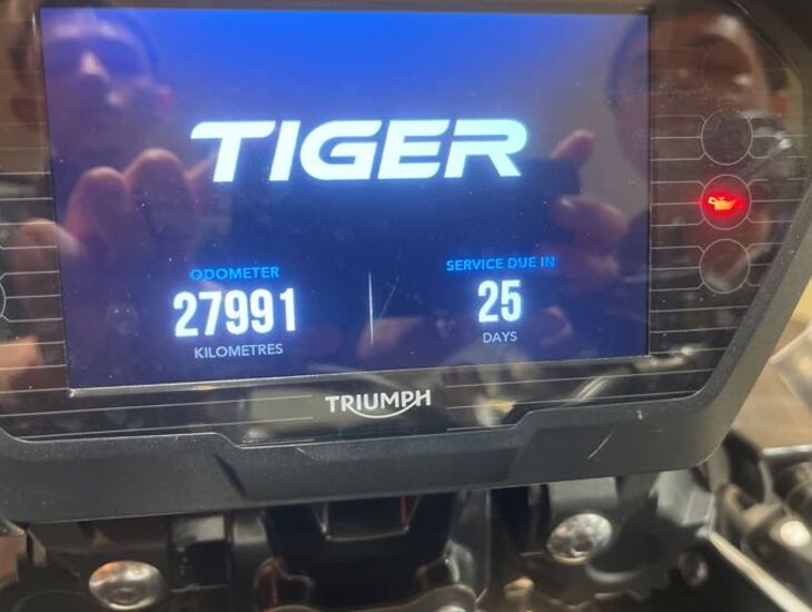 galeria Tiger 800
