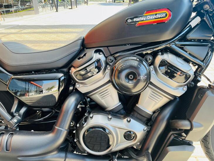 galeria Nightster Special