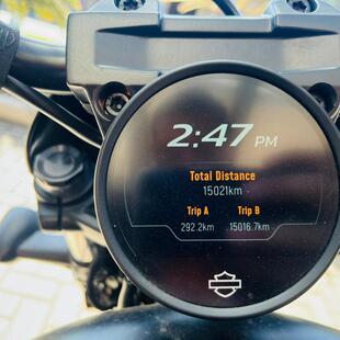 Harley Davidson Nightster Special 975 cc