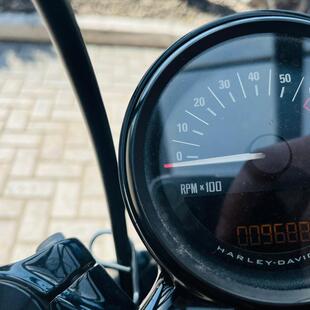 Harley Davidson Sportster 1200 Roadster