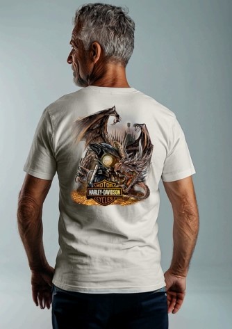 galeria CAMISETA MASCULINA NACIONAL HEAVY 2.0 CLASSIC DRAGON FIRE
