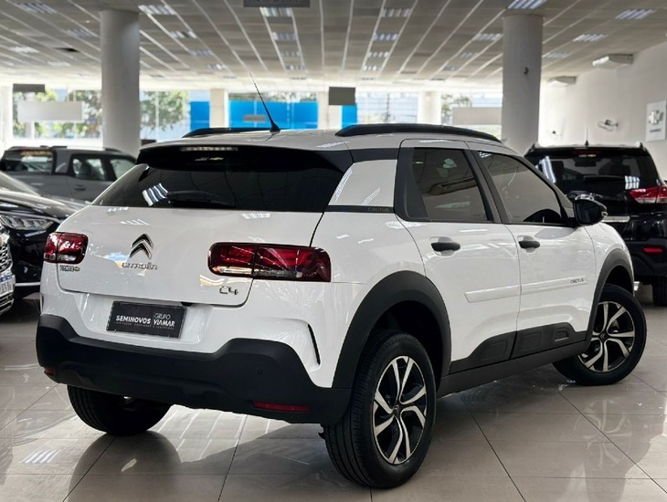 galeria C4 CACTUS