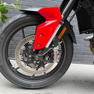 Triumph Tiger 900 GT Aragón Edition