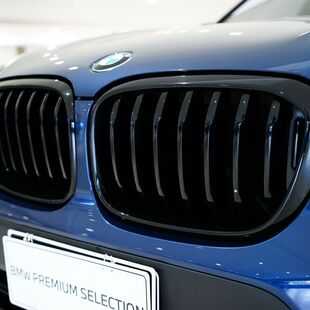 Bmw X3 xDrive30e 2.0 Turbo Híbrido (Aut)