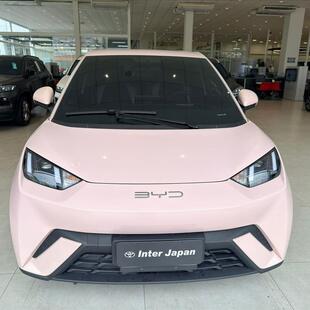 Byd DOLPHIN MINI 38 KW ELÉTRICO
