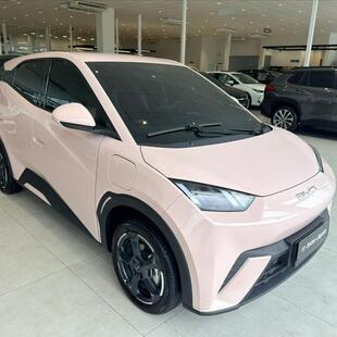 Byd DOLPHIN MINI 38 KW ELÉTRICO