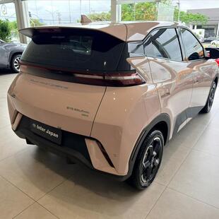 Byd DOLPHIN MINI 38 KW ELÉTRICO