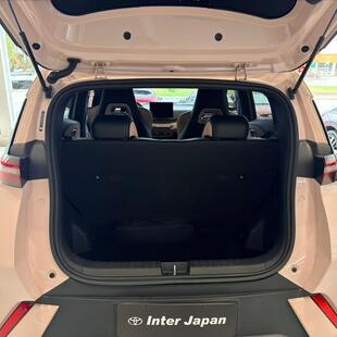 Byd DOLPHIN MINI 38 KW ELÉTRICO