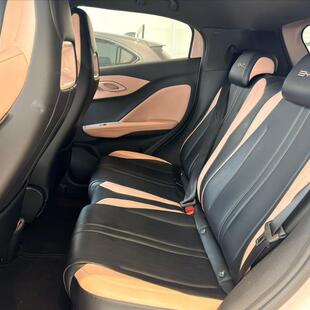 Byd DOLPHIN MINI 38 KW ELÉTRICO