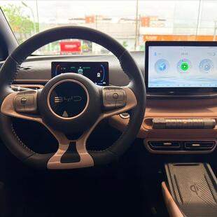 Byd DOLPHIN MINI 38 KW ELÉTRICO