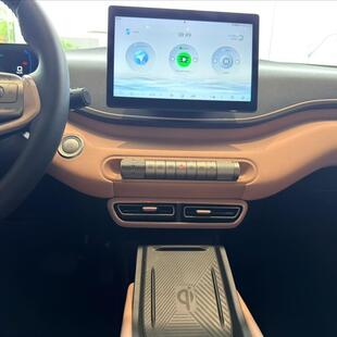 Byd DOLPHIN MINI 38 KW ELÉTRICO