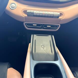 Byd DOLPHIN MINI 38 KW ELÉTRICO