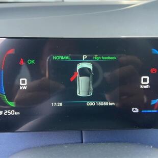 Byd DOLPHIN MINI 38 KW ELÉTRICO