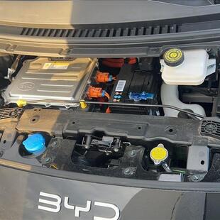 Byd DOLPHIN MINI 38 KW ELÉTRICO