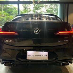 Bmw X4 xDrive30i M Sport 2.0 Turbo (Aut.)