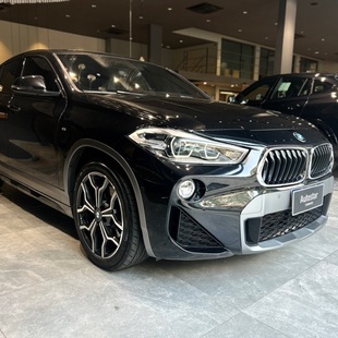 Bmw X2 2.0 sDrive20i GP (Aut)