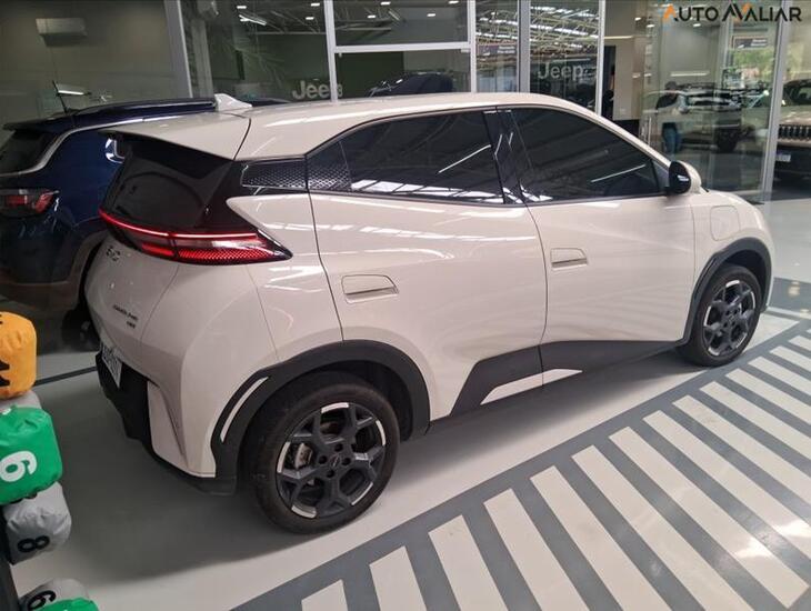 galeria DOLPHIN MINI