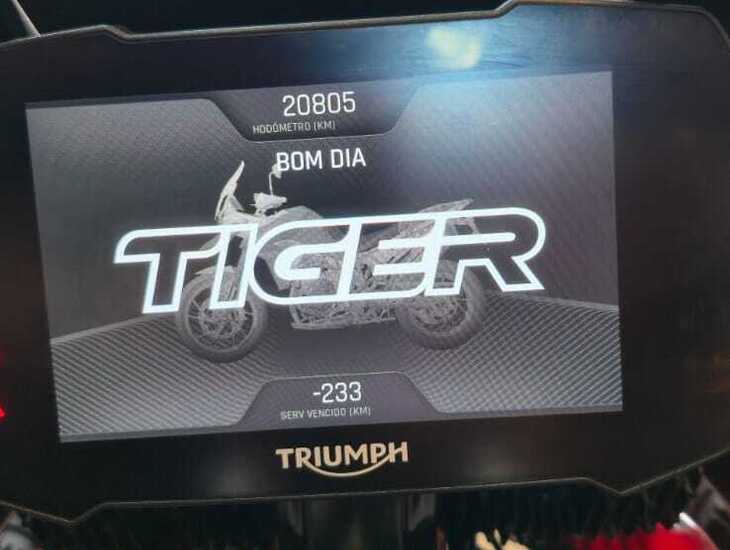 galeria TIGER