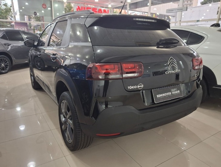 galeria C4 CACTUS