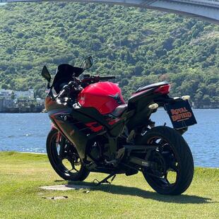 Kawasaki NINJA 300 ABS