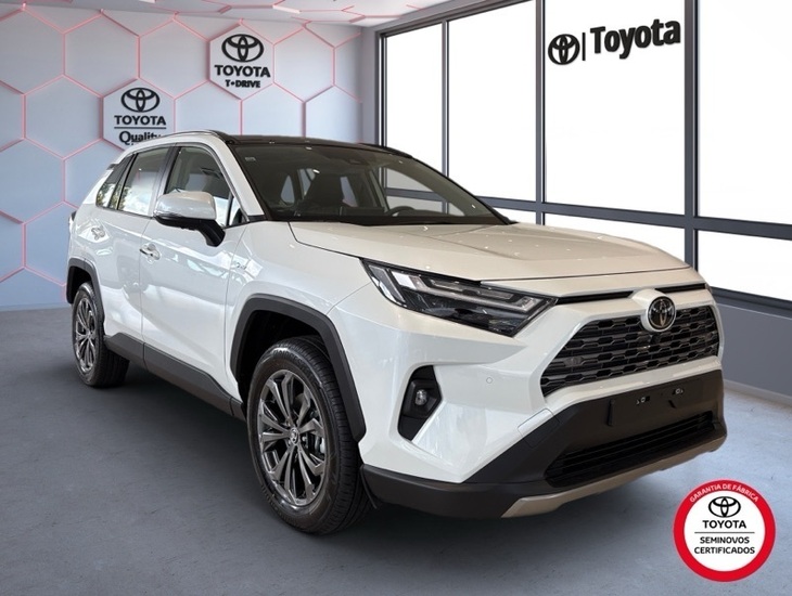 galeria RAV4