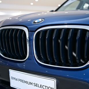 Bmw X3 xDrive30e 2.0 Turbo Híbrido (Aut)