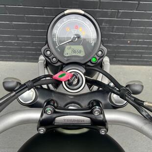 Triumph Street Scrambler 900