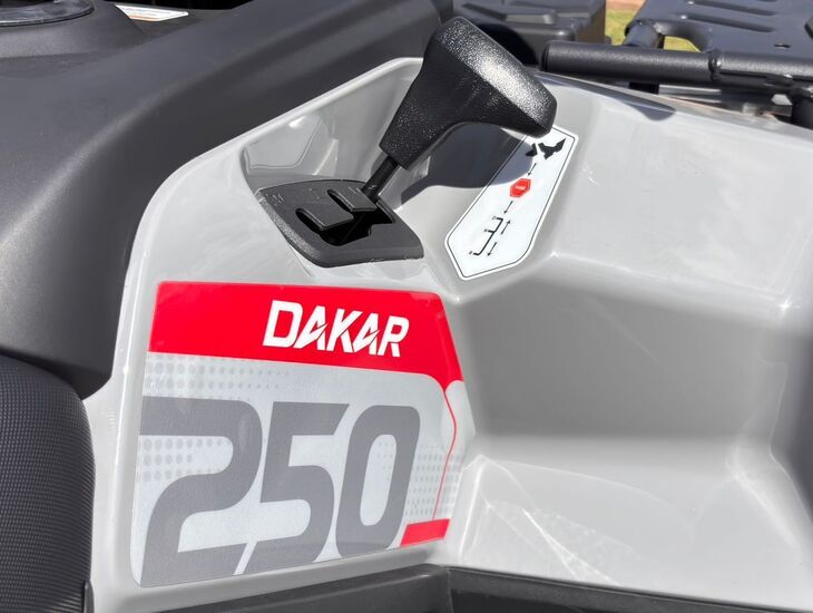 galeria QUADRICICLO DAKAR 250