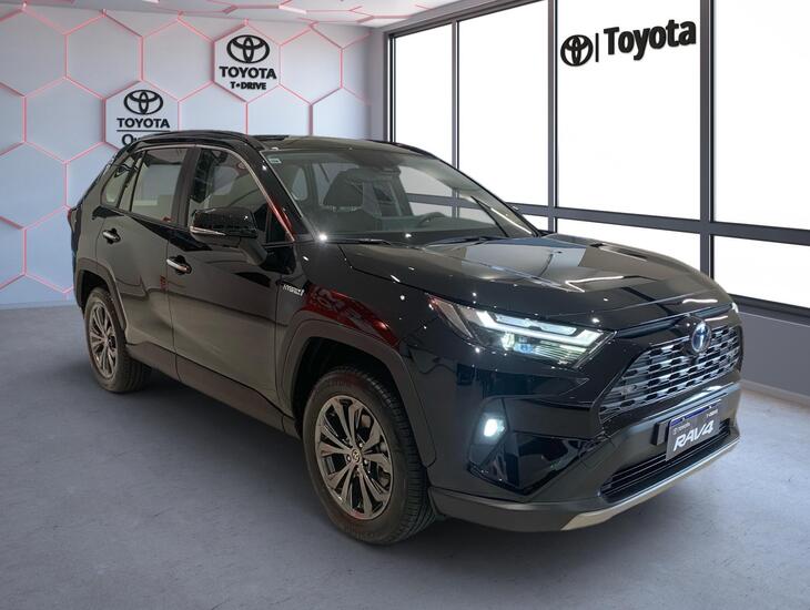 galeria RAV4