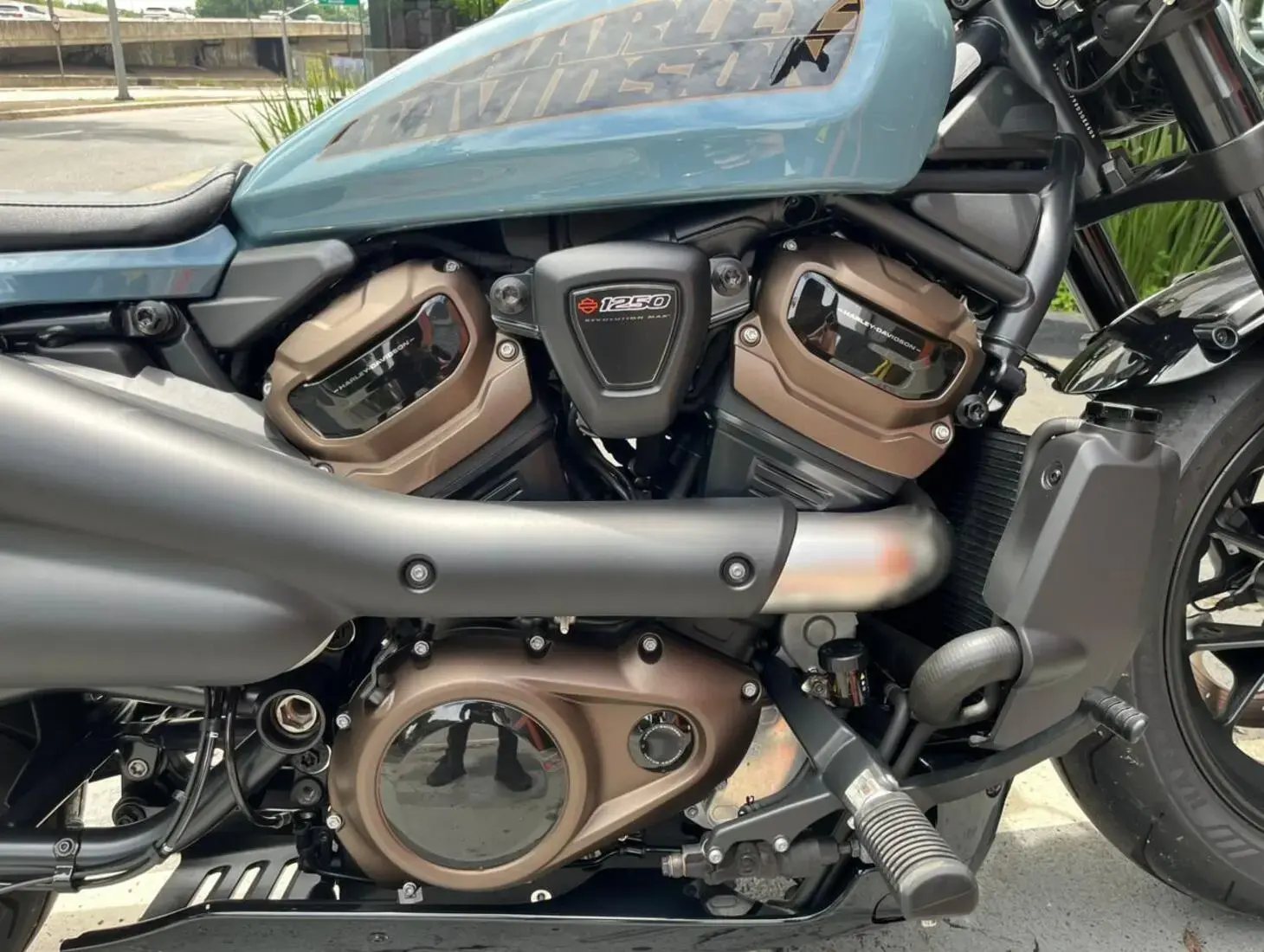 galeria Sportster 1200