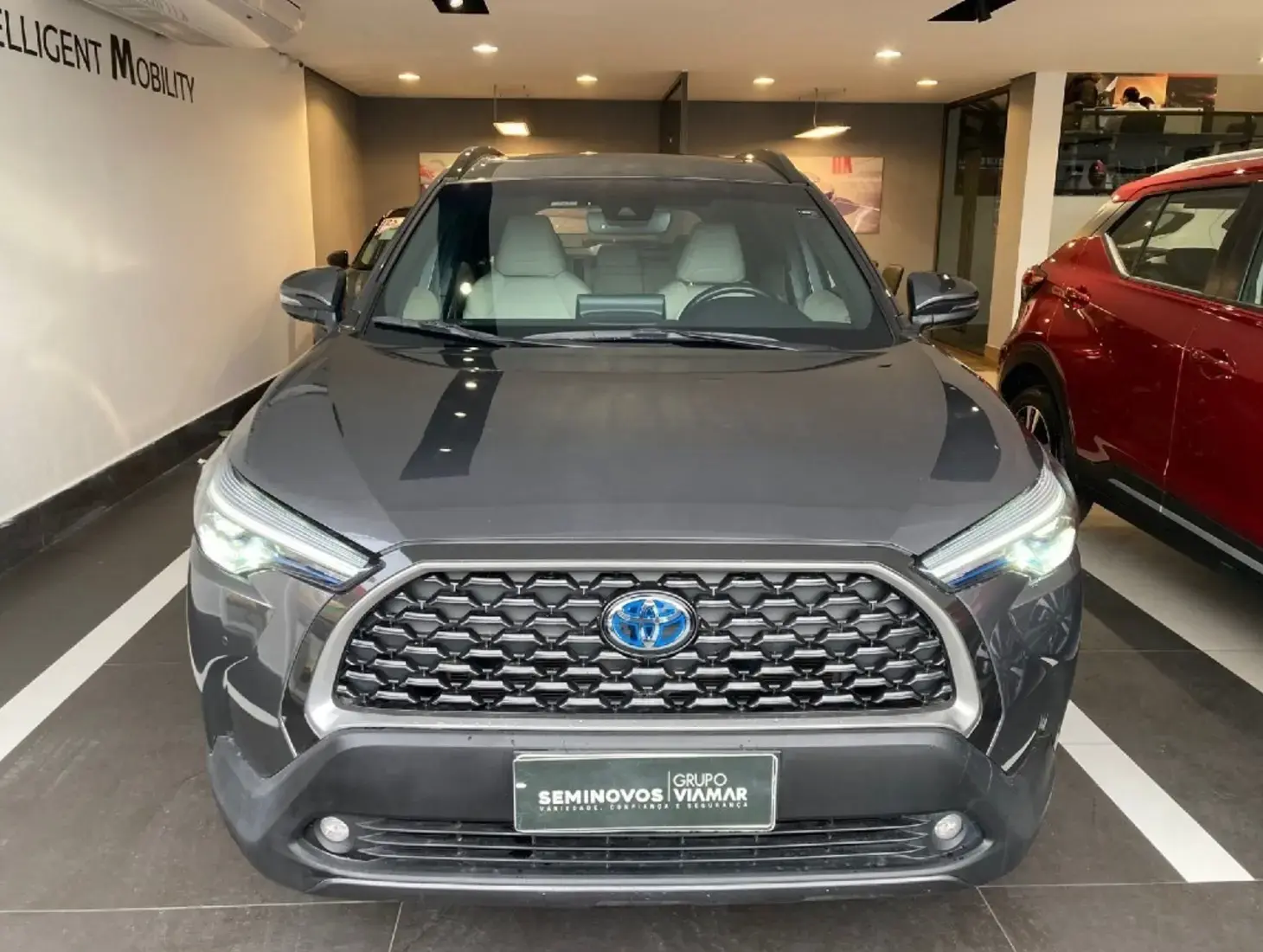 galeria Corolla Cross