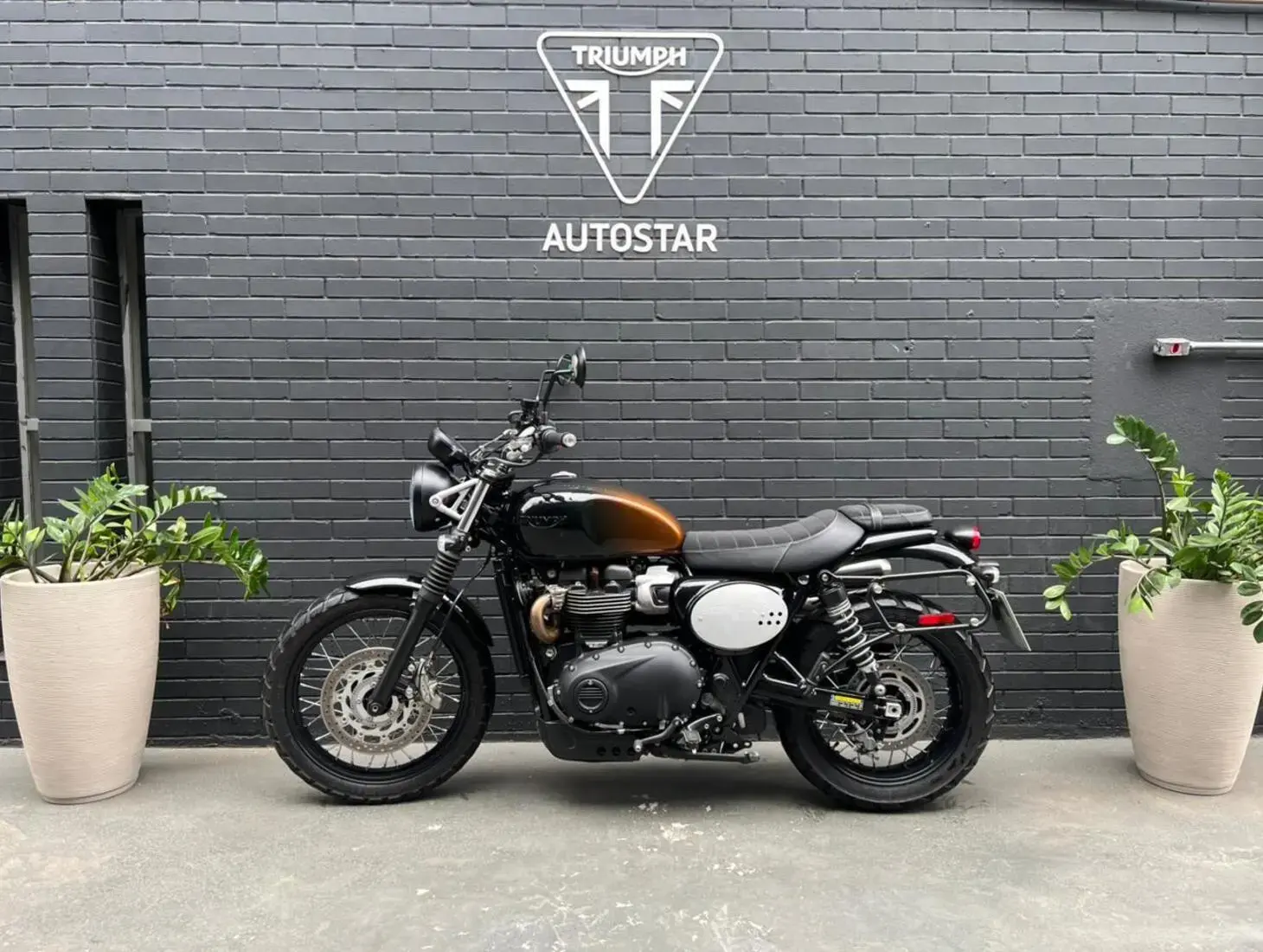 galeria Scrambler 900