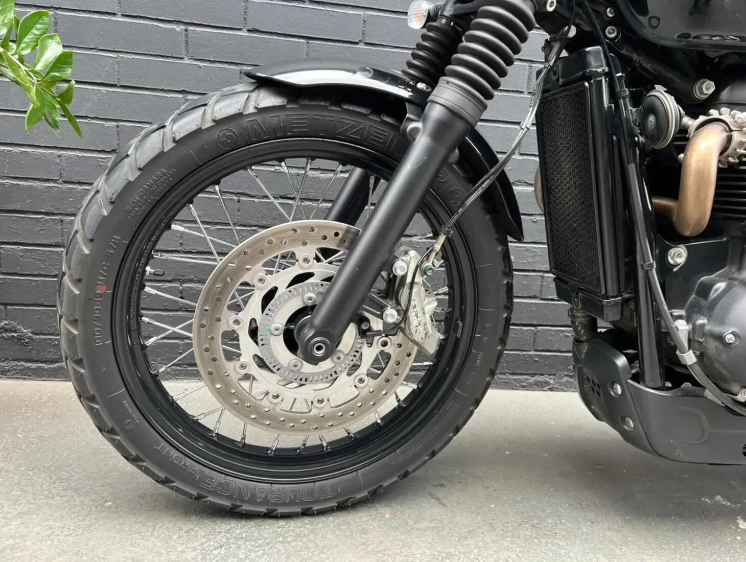 galeria Scrambler 900