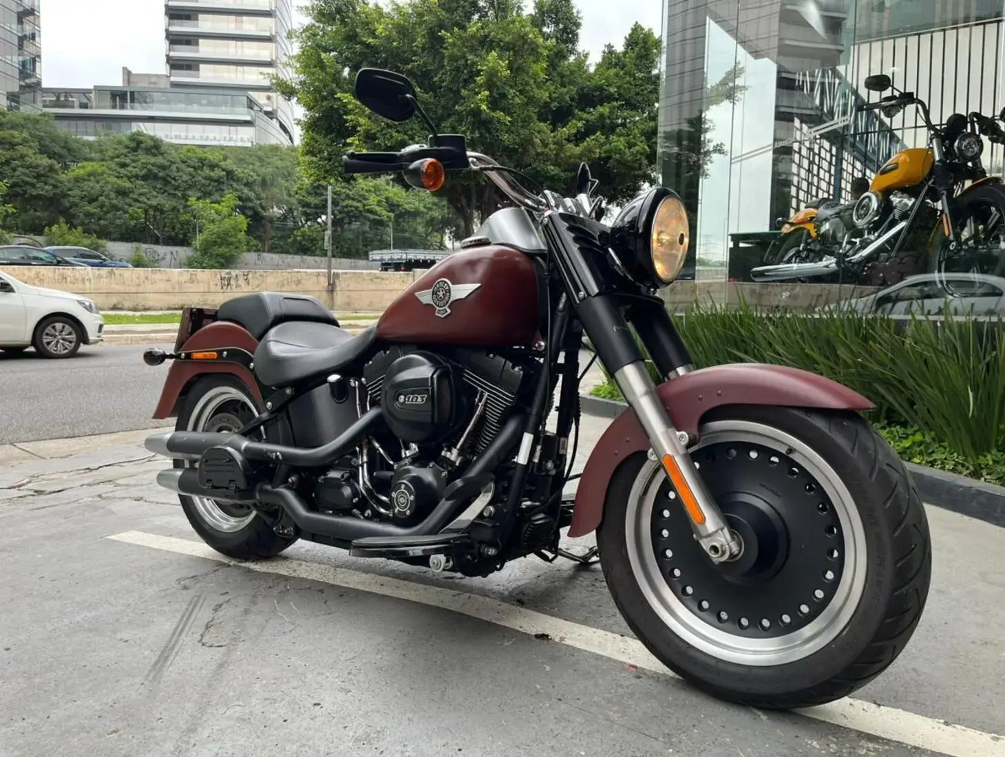 galeria Softail