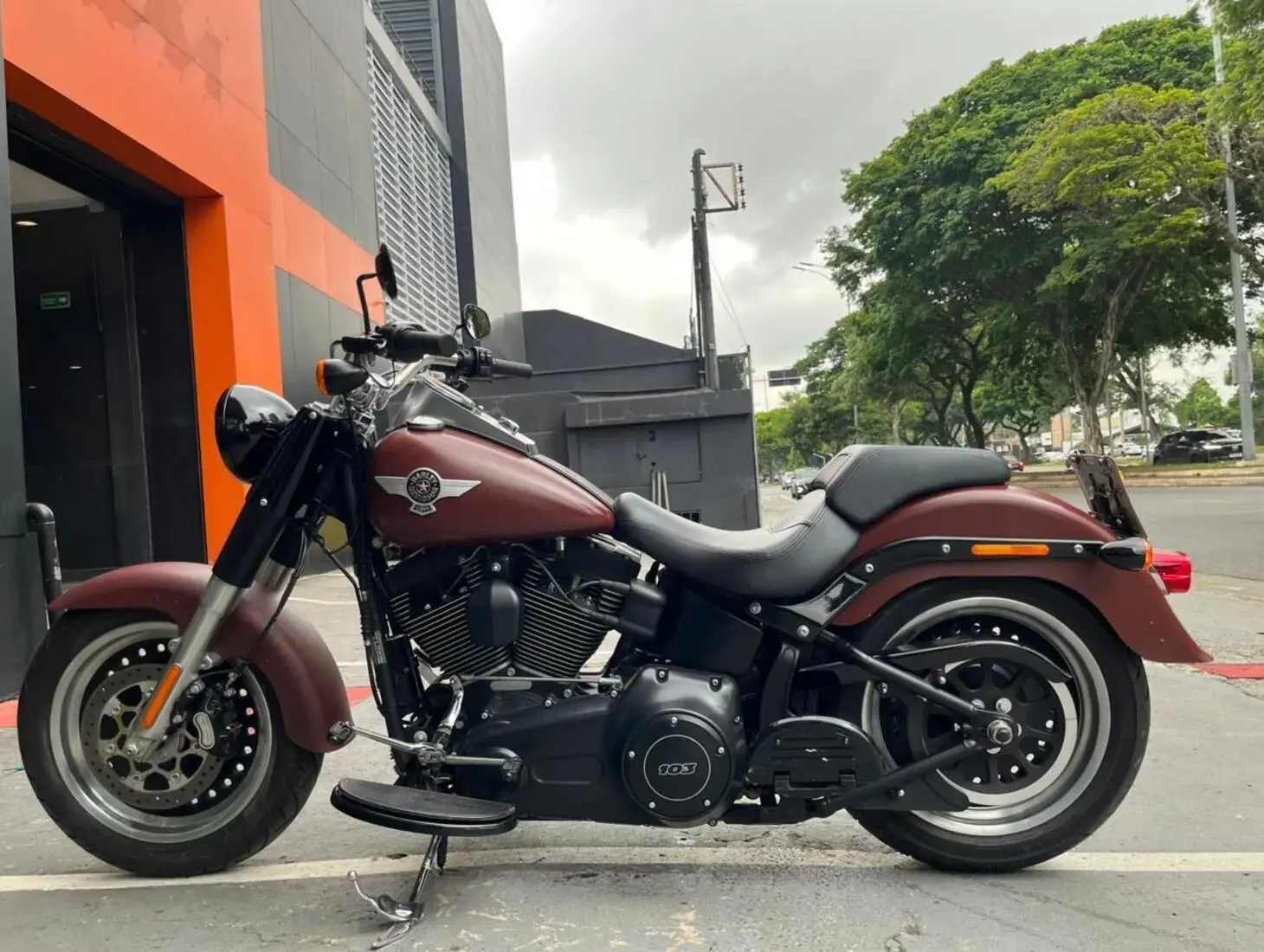 galeria Softail