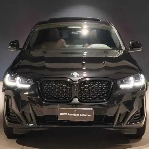 Bmw X4 xDrive30i M Sport 2.0 Turbo (Aut.)